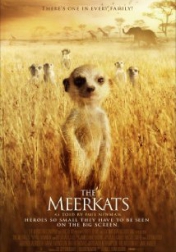 The Meerkats 2008