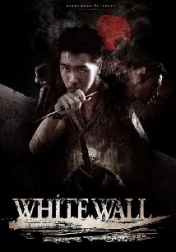 White Wall 2010