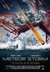 Meteor Storm 2010