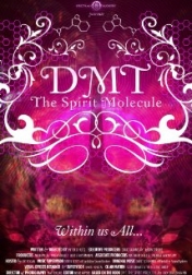 DMT: The Spirit Molecule 2010