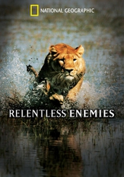 Relentless Enemies 2006
