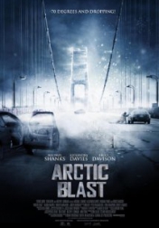 Arctic Blast 2010