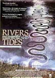 Rivers and Tides 2001