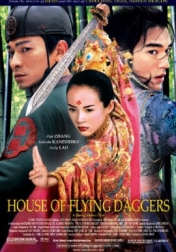 House of Flying Daggers 2004