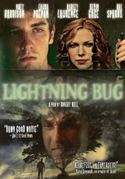 Lightning Bug 2004