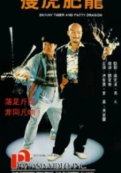 Shou hu fei long 1991