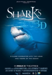 Sharks 3D 2004