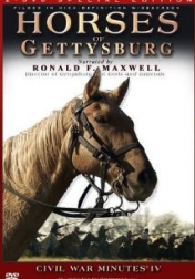 Horses of Gettysburg 2006