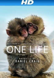 One Life 2011