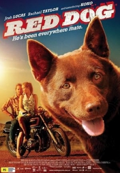 Red Dog 2011