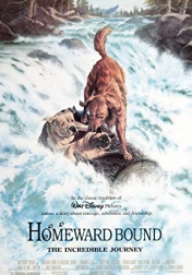 Homeward Bound: The Incredible Journey 1993