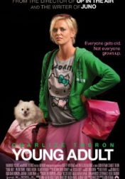 Young Adult 2011