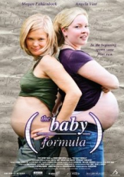 The Baby Formula 2008