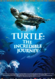 Turtle: The Incredible Journey 2009