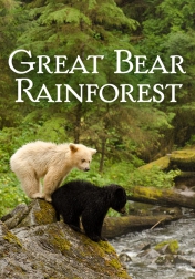 Great Bear Rainforest 2001