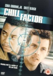 Chill Factor 1999