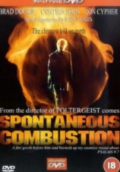 Spontaneous Combustion 1990