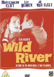 Wild River 1960