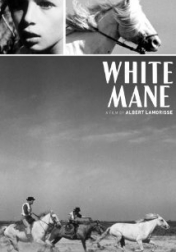 White Mane: The Wild Horse 1953