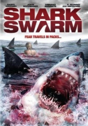 Shark Swarm 2008