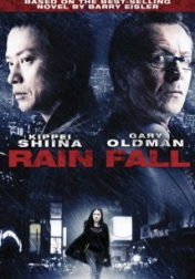 Rain Fall 2009