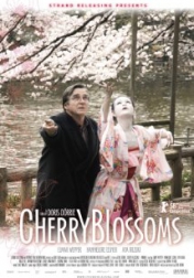 Cherry Blossoms 2008