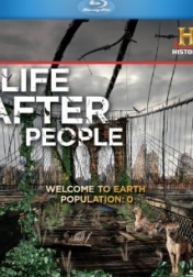 Life After People 2008