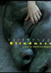 Blindness 2007