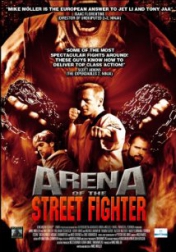 Arena of the Street Fighter 2012