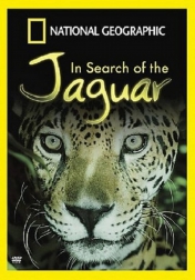 In Search of the Jaguar 2003