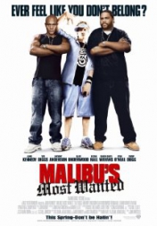 Malibu's Most Wanted 2003