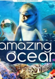 Amazing Ocean 3D 2013