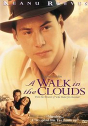A Walk in the Clouds 1995