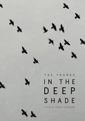 The Frames in the Deep Shade 2013