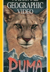 Puma: Lion of the Andes 1996