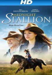 Midnight Stallion 2013