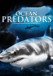 Ocean Predators 2013