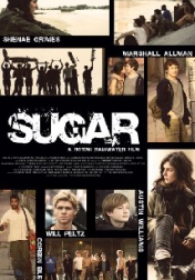 Sugar 2013