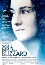 White Bird in a Blizzard 2014