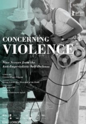 Concerning Violence 2014