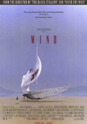 Wind 1992