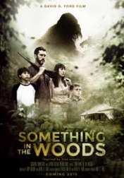 Something in the Woods 2015