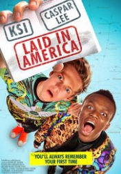 Laid in America 2016