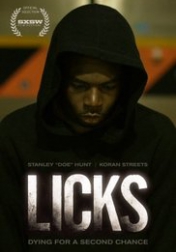 Licks 2013