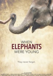 When Elephants Were Young 2016