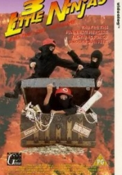 3 Little Ninjas and the Lost Treasure 1990