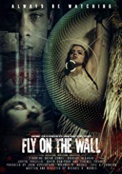 Fly on the Wall 2018