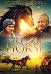 Orphan Horse 2018