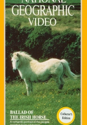 Ballad of the Irish Horse 1985