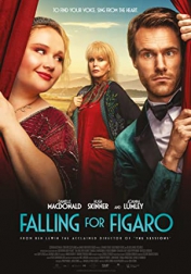 Falling for Figaro 2020